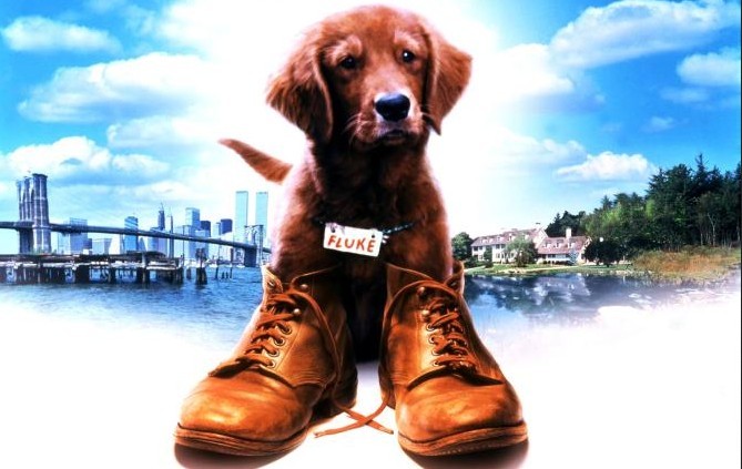 Stasera in tv su Rai 3: “Fluke” con Matthew Modine