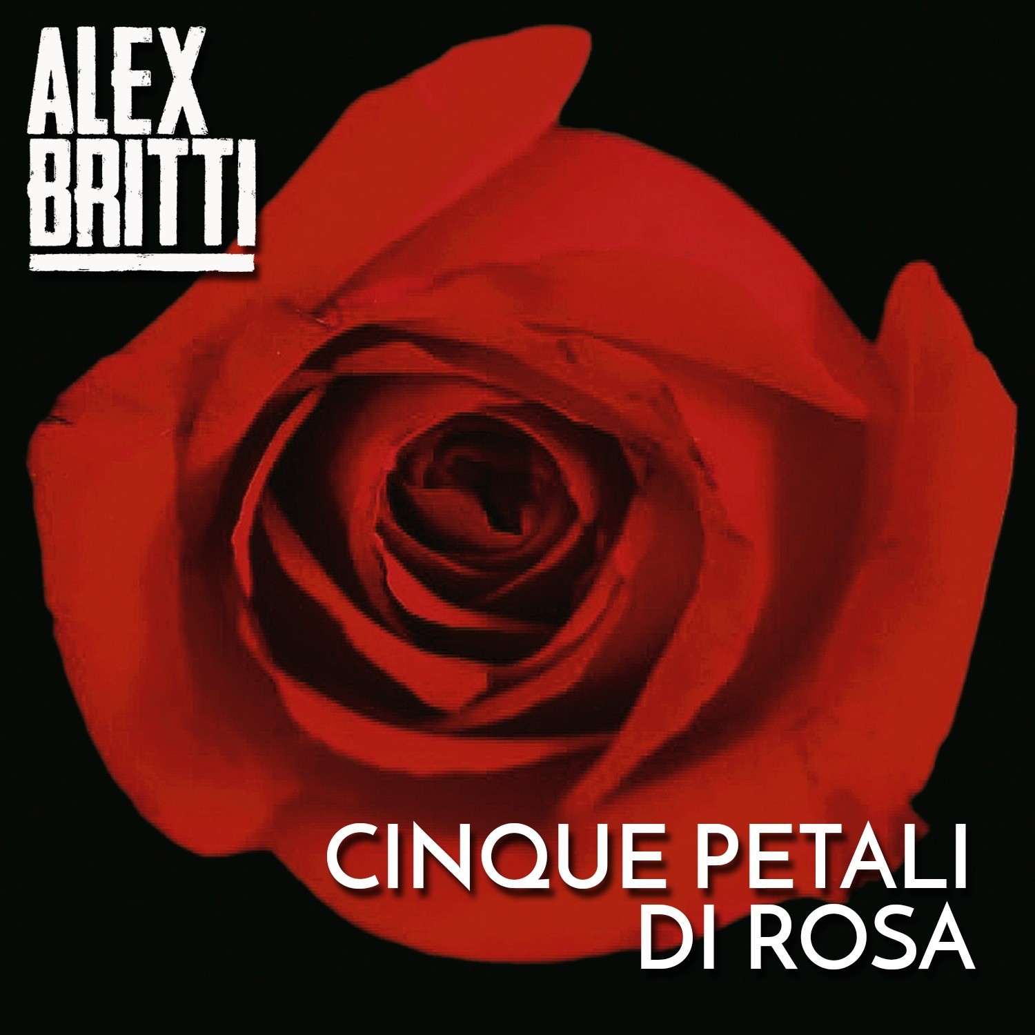 Alex Britti, Cinque petali di rosa: testo e audio