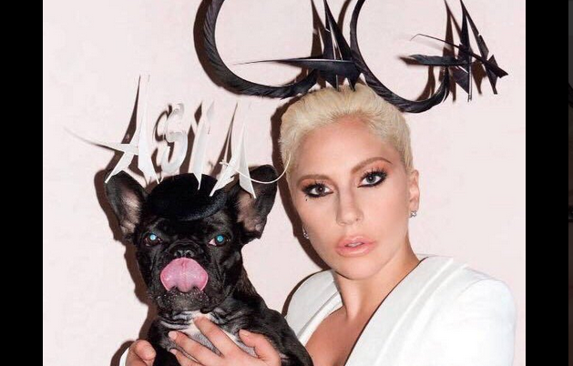 Lady Gaga, nuovo album: collaborazioni con Mark Ronson ed Elton John