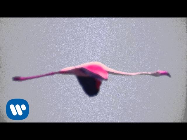 Stutterer – Trailer