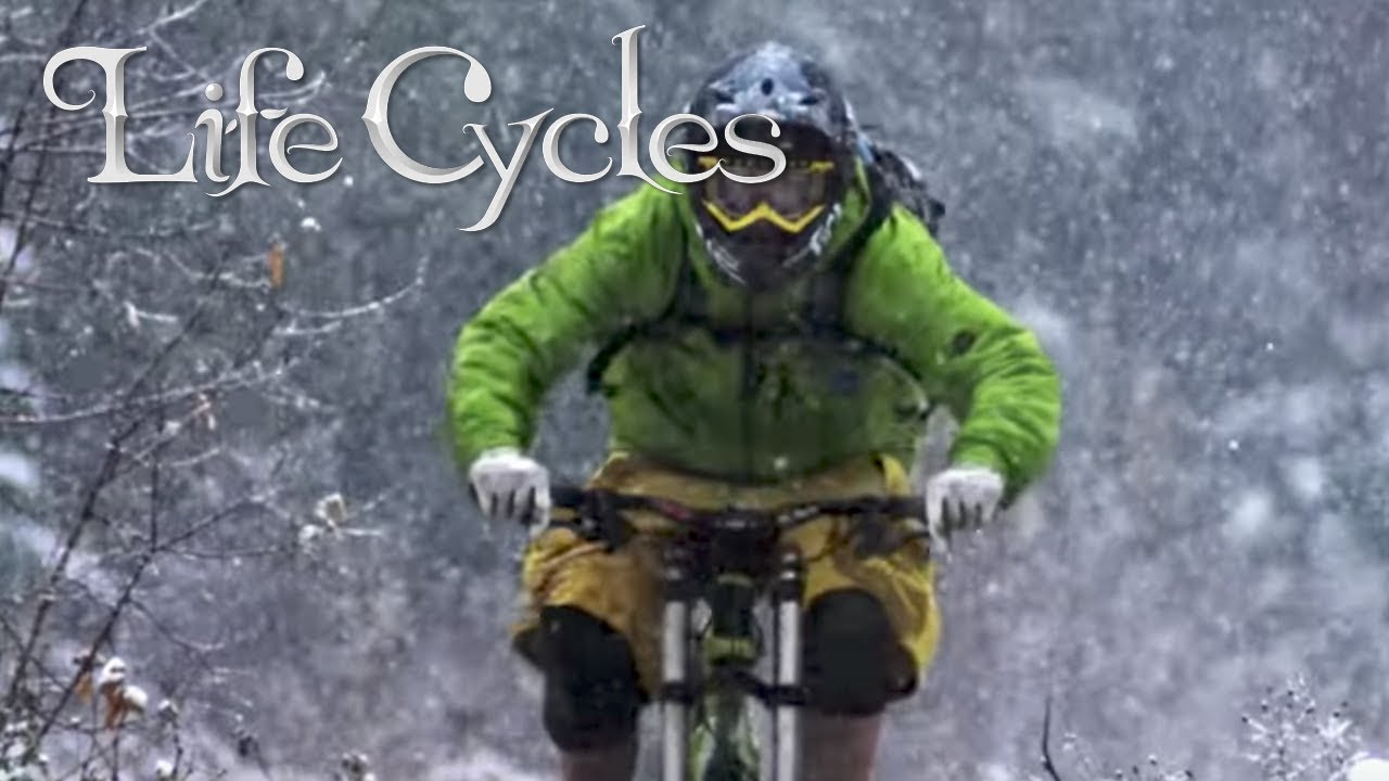 Life Cycles – Official Trailer – Stance Films [HD]