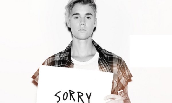 Justin Bieber, Sorry troppo simile a Ring the bell di White Hinterland?