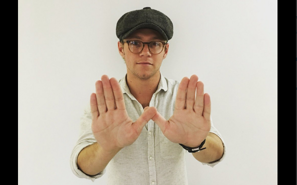 One Direction, Niall Horan sarà il primo a rilasciare un album solista e ad inizio 2017 uscirà il singolo?