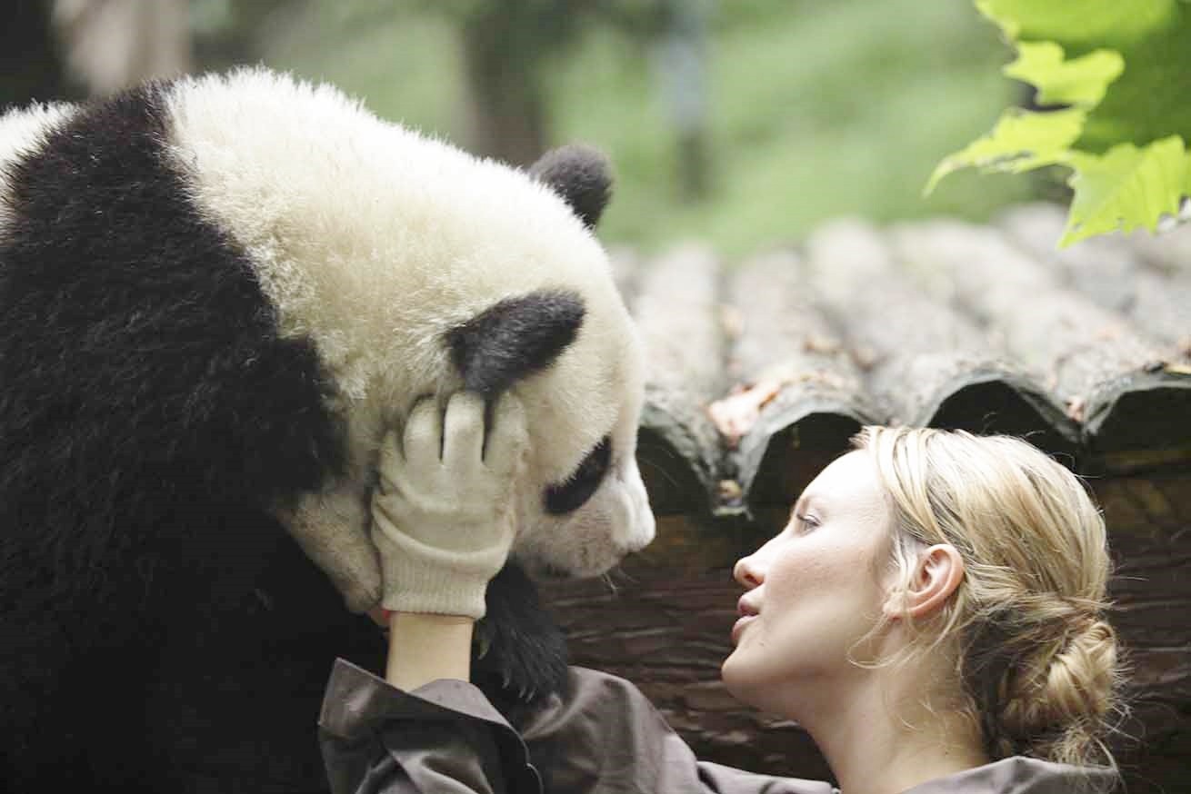 Sneezing Baby Panda: trailer italiano del film basato sul video virale di YouTube