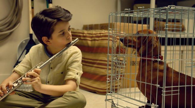 Wiener-Dog: recensione in anteprima del film di Todd Solondz