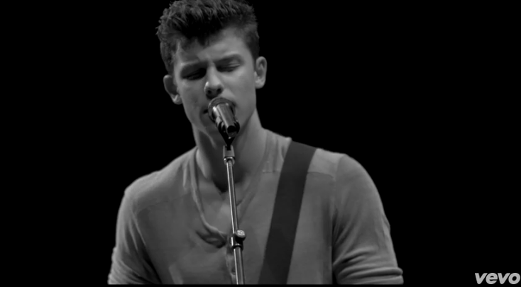 Shawn Mendes, Ruin: testo, traduzione e video ufficiale