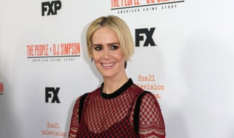 Serie Tv, novità: Sarah Paulson in Feud di FX, Joseph Fiennes in The Handmaid’s Tale