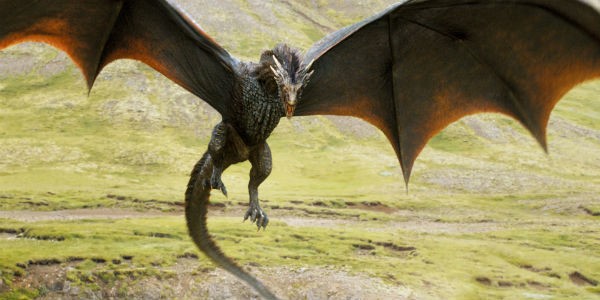 10 animali famosi in tv