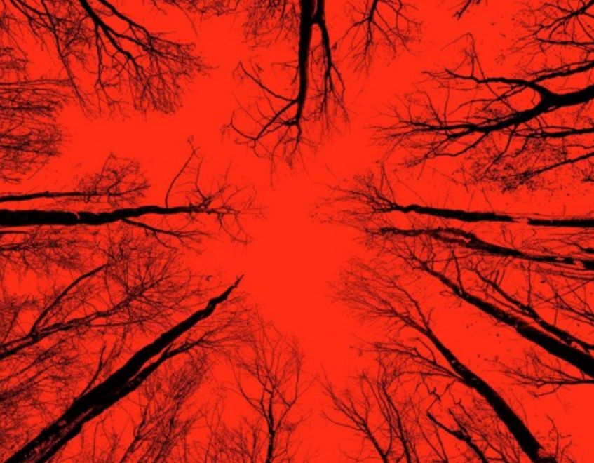 Blair Witch: 11 curiosità sul film horror di Adam Wingard