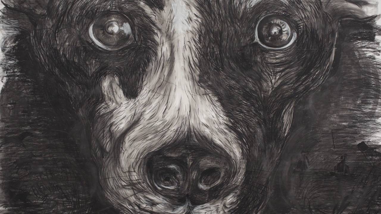 Laurie Anderson – Heart Of A Dog | al cinema il  13 e 14 Settembre