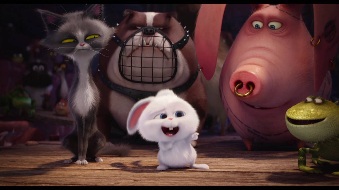 PETS – VITA DA ANIMALI: scena del film in italiano “Sono scappati tutti?”