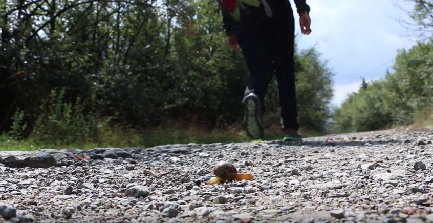 I volti della via Francigena: il trailer del documentario di Fabio Dipinto