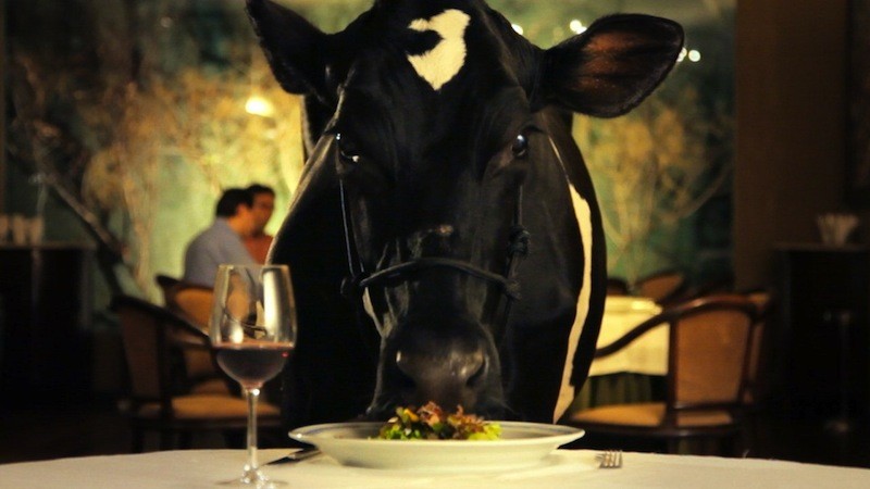 Animal político (Tião)