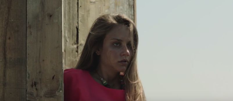 L’amore rubato (2016) di Irish Braschi