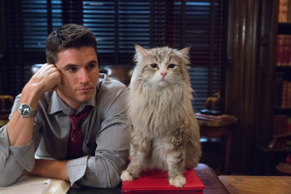 Una Vita da Gatto (2016) di Barry Sonnenfeld (FOTO ESCLUSIVE)
