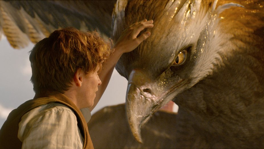 Box Office, Animali Fantastici e Dove Trovarli sopra i 500 milioni worldwide