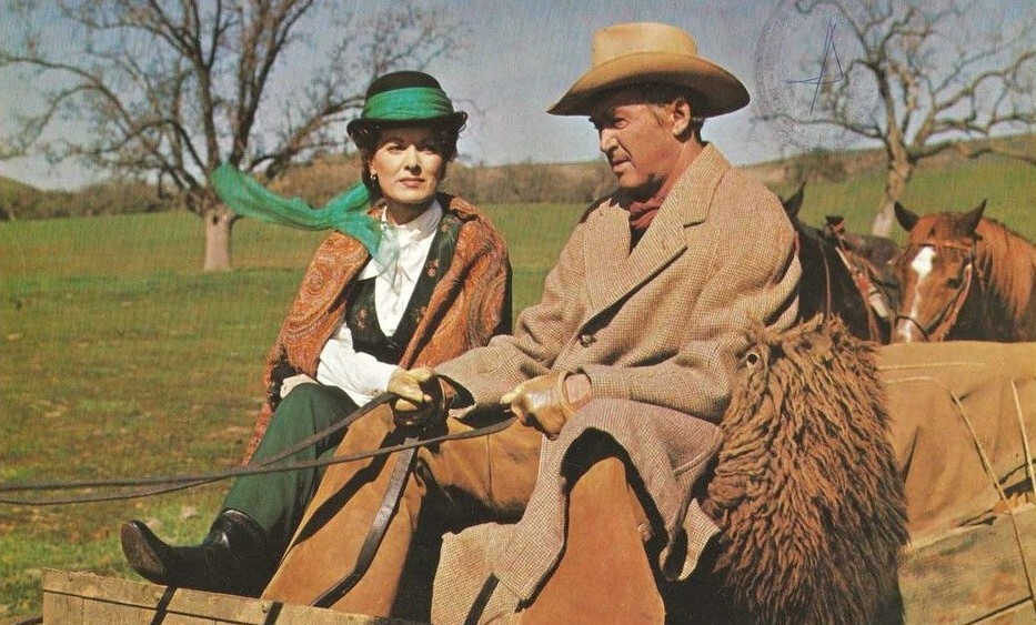Stasera in tv: “Rancho Bravo” su Rete 4