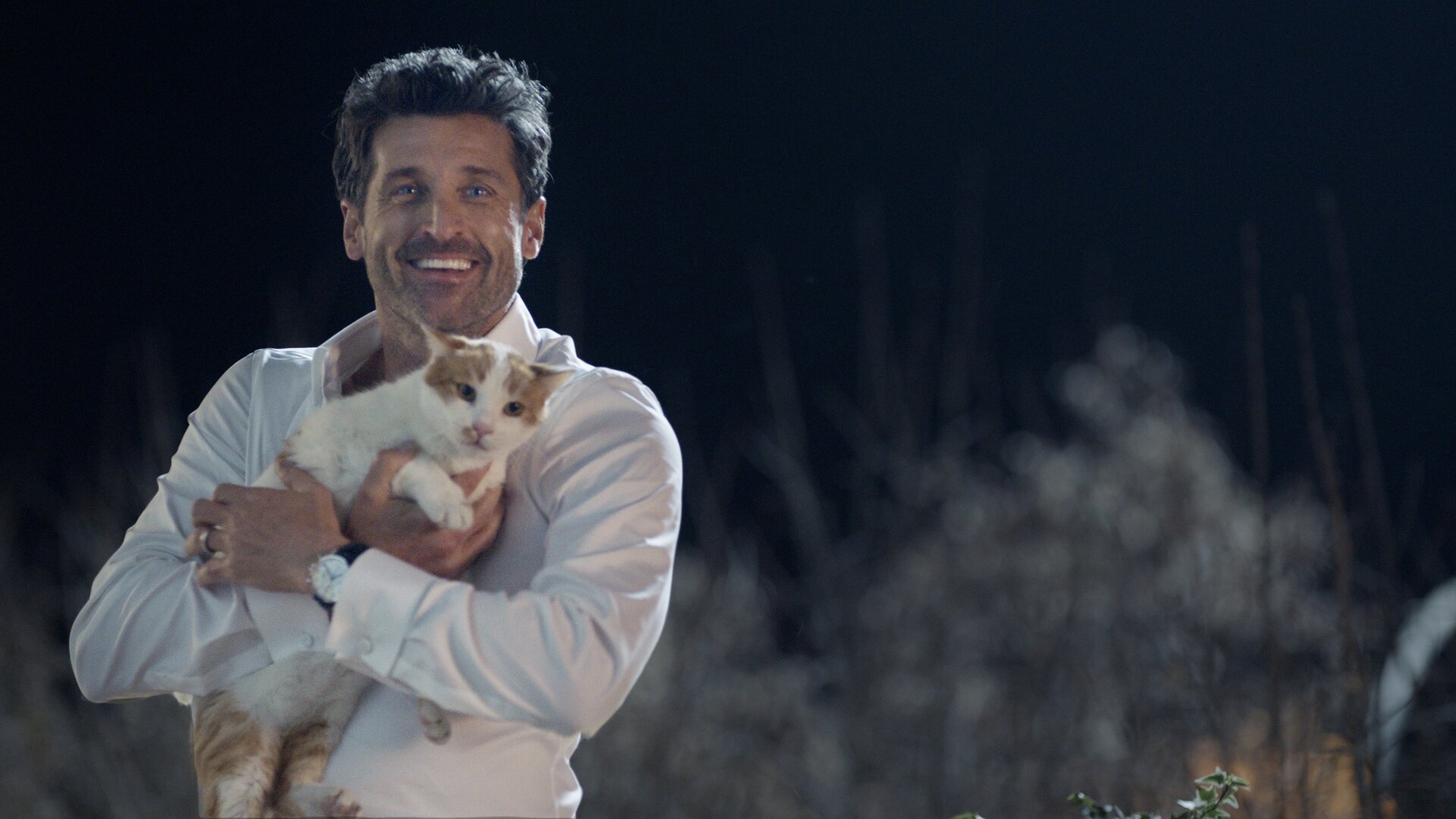 Patrick Dempsey e il gattino, al via gli spot tv
