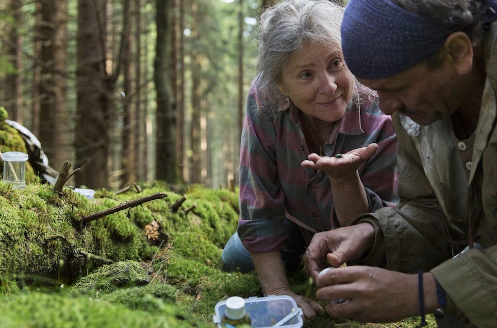 Berlino 2017: Spoor – recensione del film di Agnieszka Holland