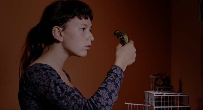 Berlino 2017: Colo – recensione del film di Teresa Villaverde