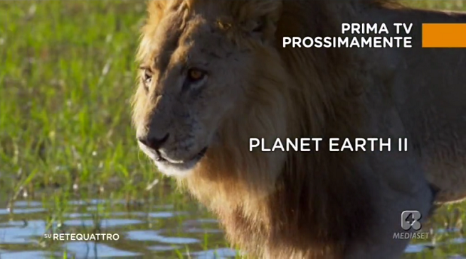 Planet Earth II su Rete 4, conferenza stampa: “E’ il Sanremo della natura”