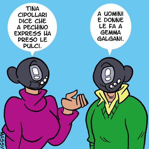 Pulci