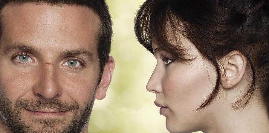 Stasera in tv, 9 aprile 2017: Il Segreto, Che Dio ci Aiuti, Il Lato Positivo