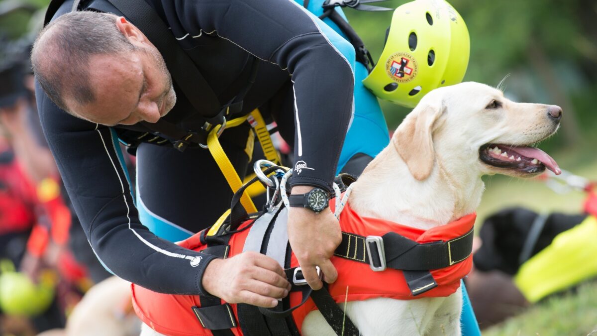 La vita segreta dei cani, su Discovery Channel da domenica 30 aprile