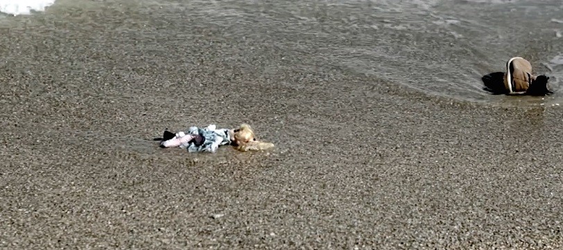 Paolo Tocco, Arrivando alla riva: testo e video ufficiale [anteprima Blogo]