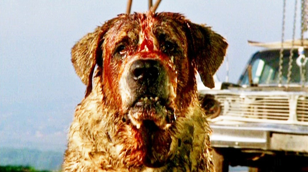 La torre nera: Stephen King conferma “easter egg” anche per Cujo