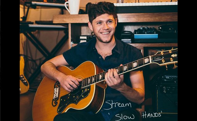 Niall Horan rassicura i fan: i One Direction sono sempre in pausa ma torneranno