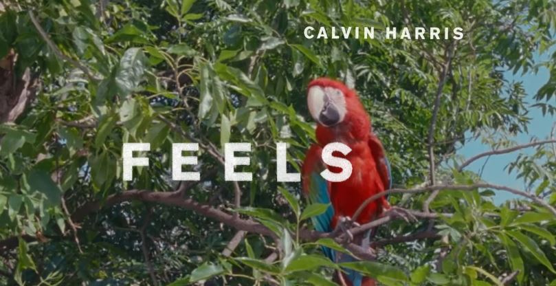 Classifica singoli Europa 26 agosto 2017: Calvin Harris resta alla numero 1 con Feels