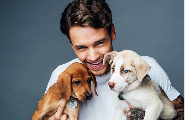 Liam Payne conferma la reunion dei One Direction
