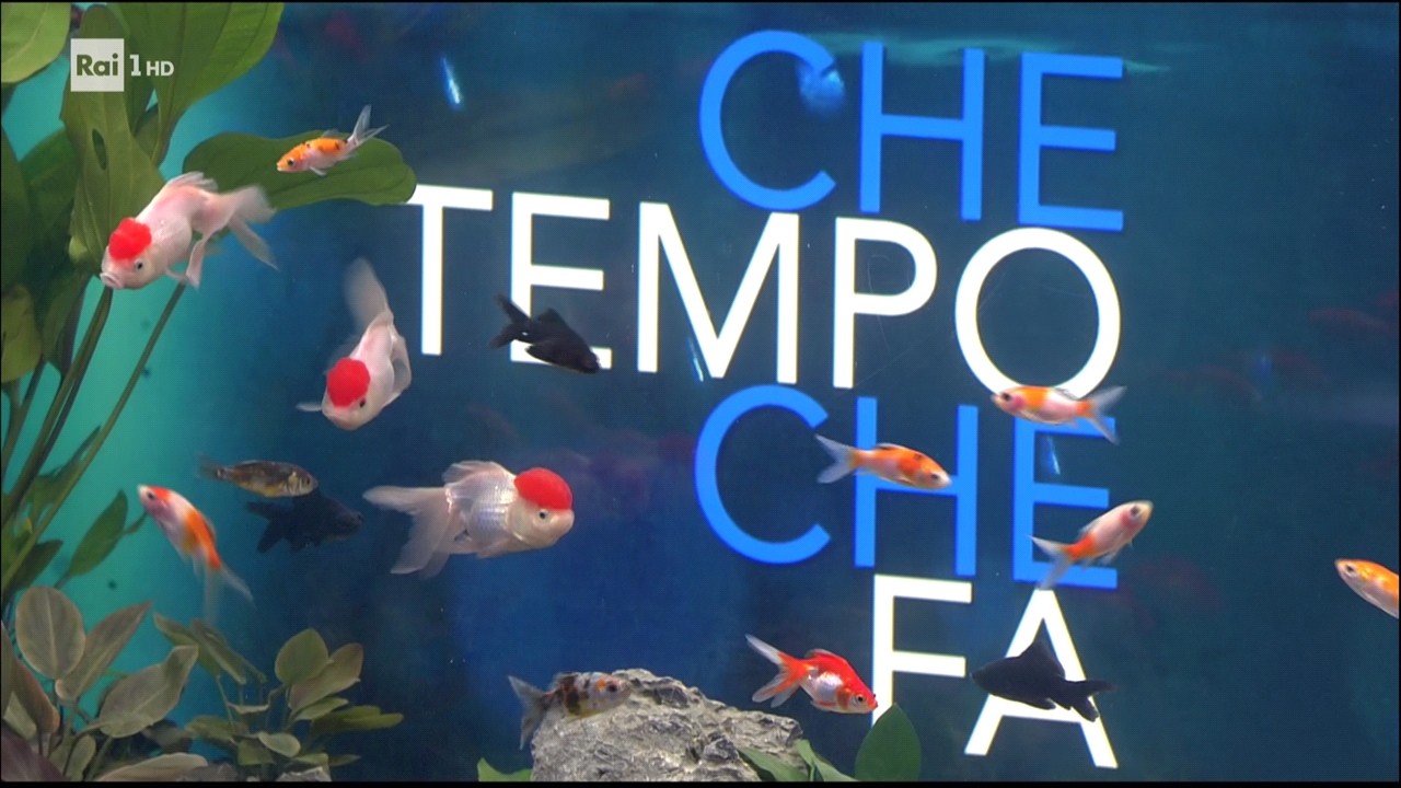 Che Tempo Che Fa, su Rai 1 non cambia (nel bene e nel male)
