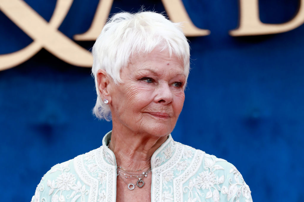 Artemis Fowl, Judi Dench per Kenneth Branagh
