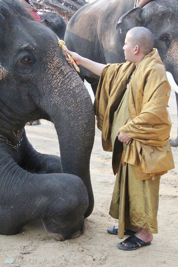 Ivory – A Crime Story: foto e poster italiano del documentario sul massacro degli elefanti