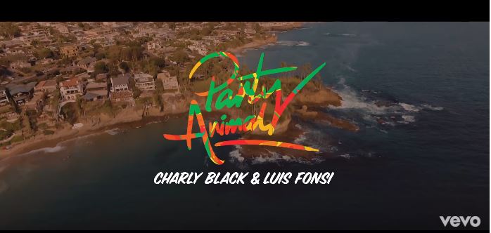 Luis Fonsi, Charly Black- Party Animal: testo, traduzione e video
