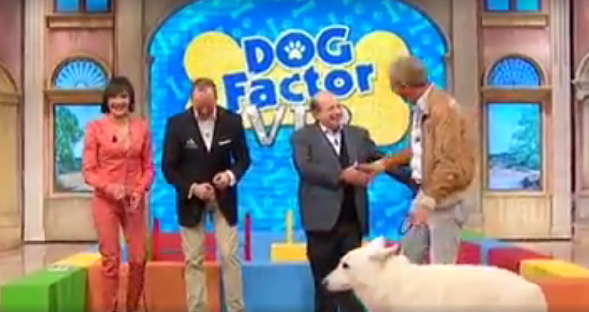 I Fatti vostri, al via il Dog factor Vip (che richiama il logo del Gf)