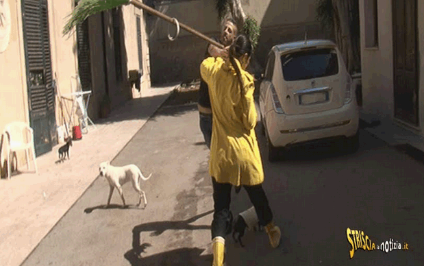 Striscia la Notizia, Stefania Petyx aggredita a Palermo (Foto)