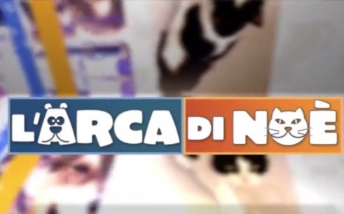 L’Arca di Noè, il tradizionale viaggio nel mondo degli animali tra tante rubriche e poco tempo
