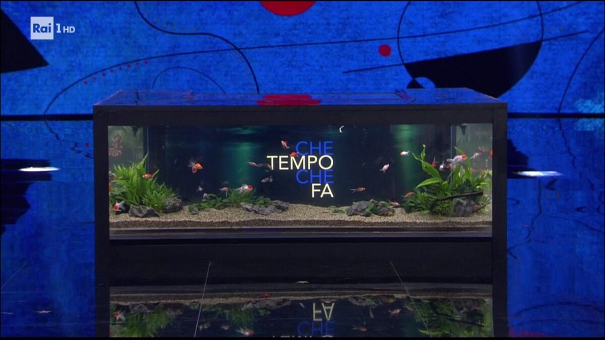 Che Tempo che Fa, l’acquario agita i vegani