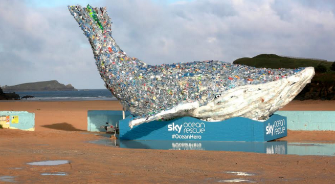 Sky Ocean Rescue, dal 5 ottobre il canale temporaneo per la salute degli oceani