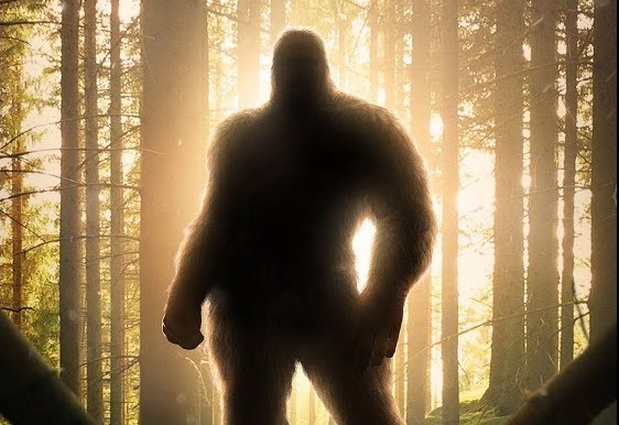 Discovering Bigfoot: trailer e poster del documentario sul Sasquatch