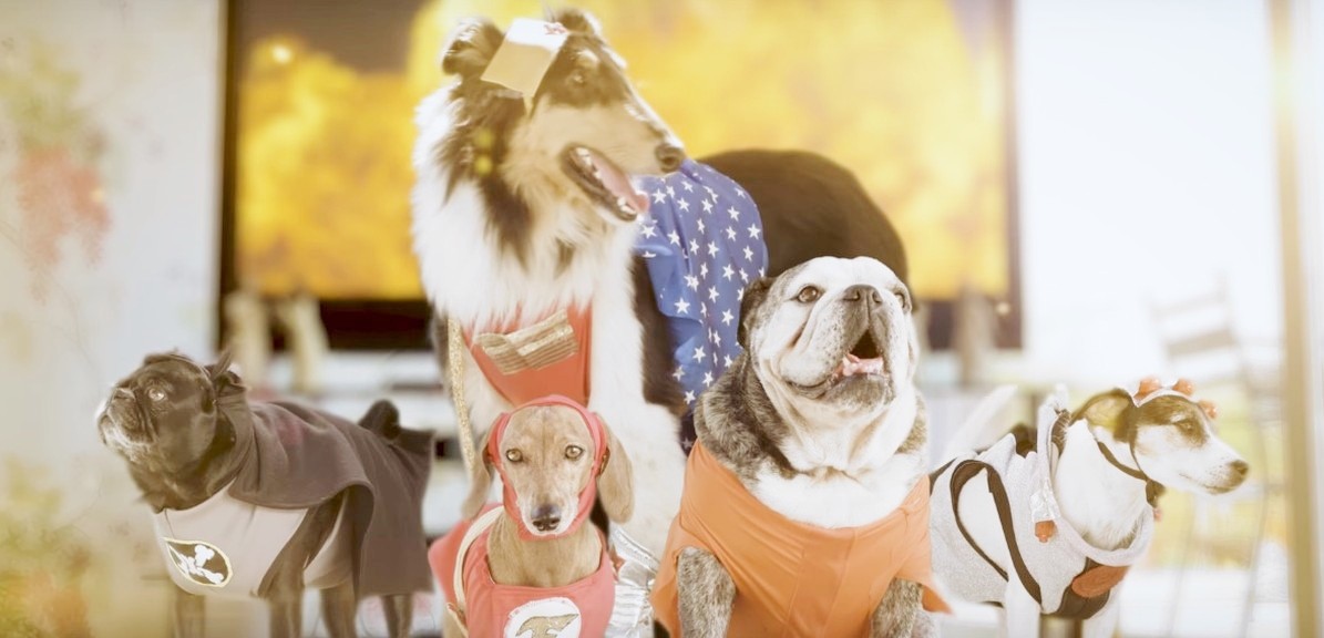Justice League: il trailer parodia con cani “Pupstice League”