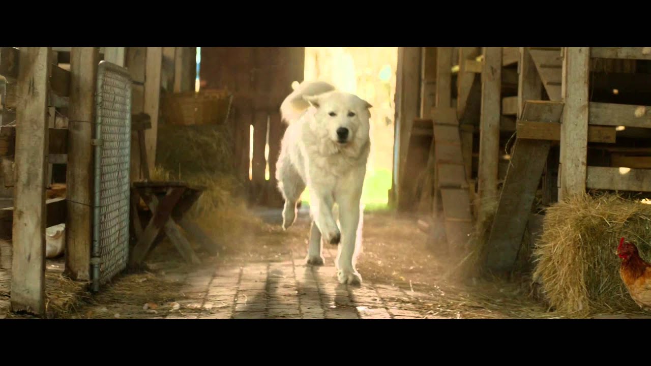 La musica del silenzio – Trailer