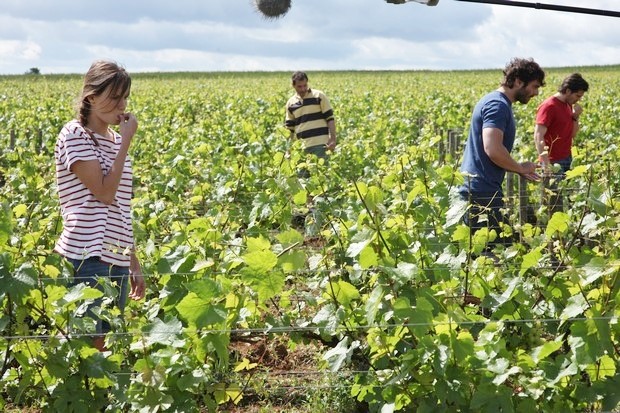 Ritorno in Borgogna: nuove clip in italiano del film di Cédric Klapisch