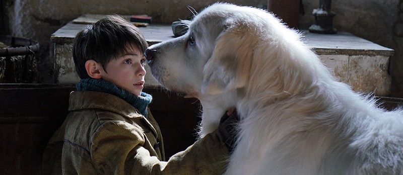 Belle & Sebastien – Amici per sempre, arriva il 3° capitolo – dal 22 febbraio al cinema