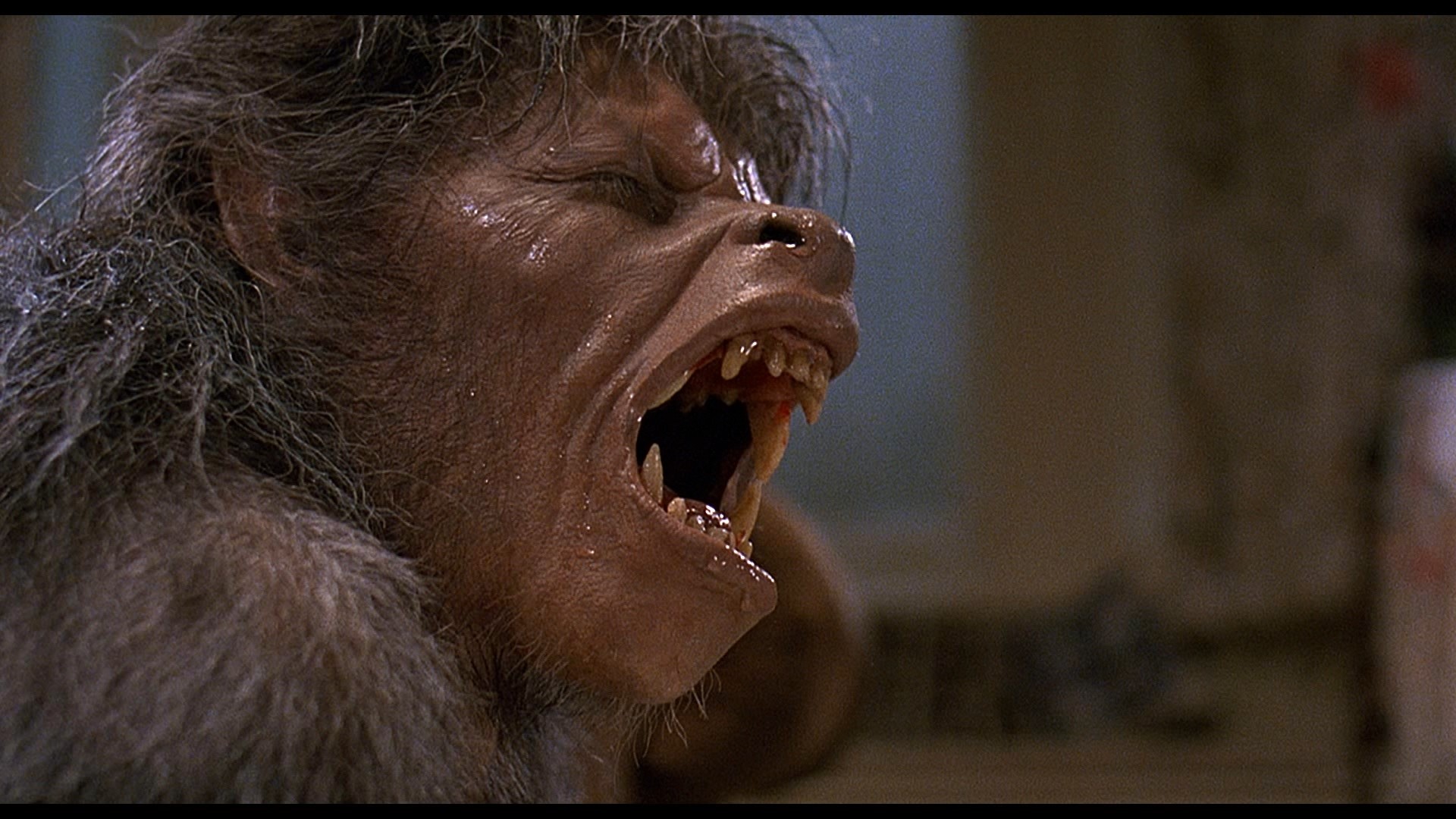 Un lupo mannaro americano a Londra, Max Landis ha completato lo script del remake