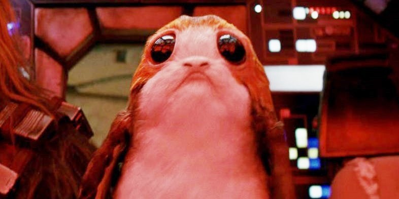 Star Wars: Gli ultimi Jedi – 8 curiosità sui Porg