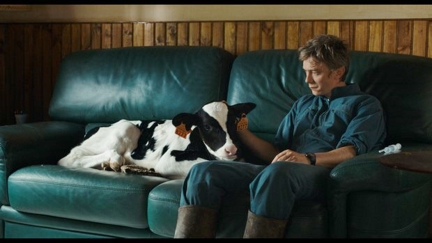 Petit Paysan – Un eroe singolare: trailer italiano, clip e poster del film di Hubert Charuel